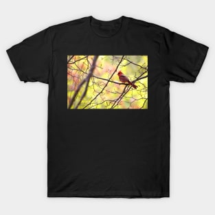 Cardinal Official T-Shirt